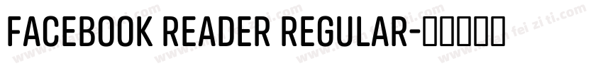 Facebook Reader Regular字体转换